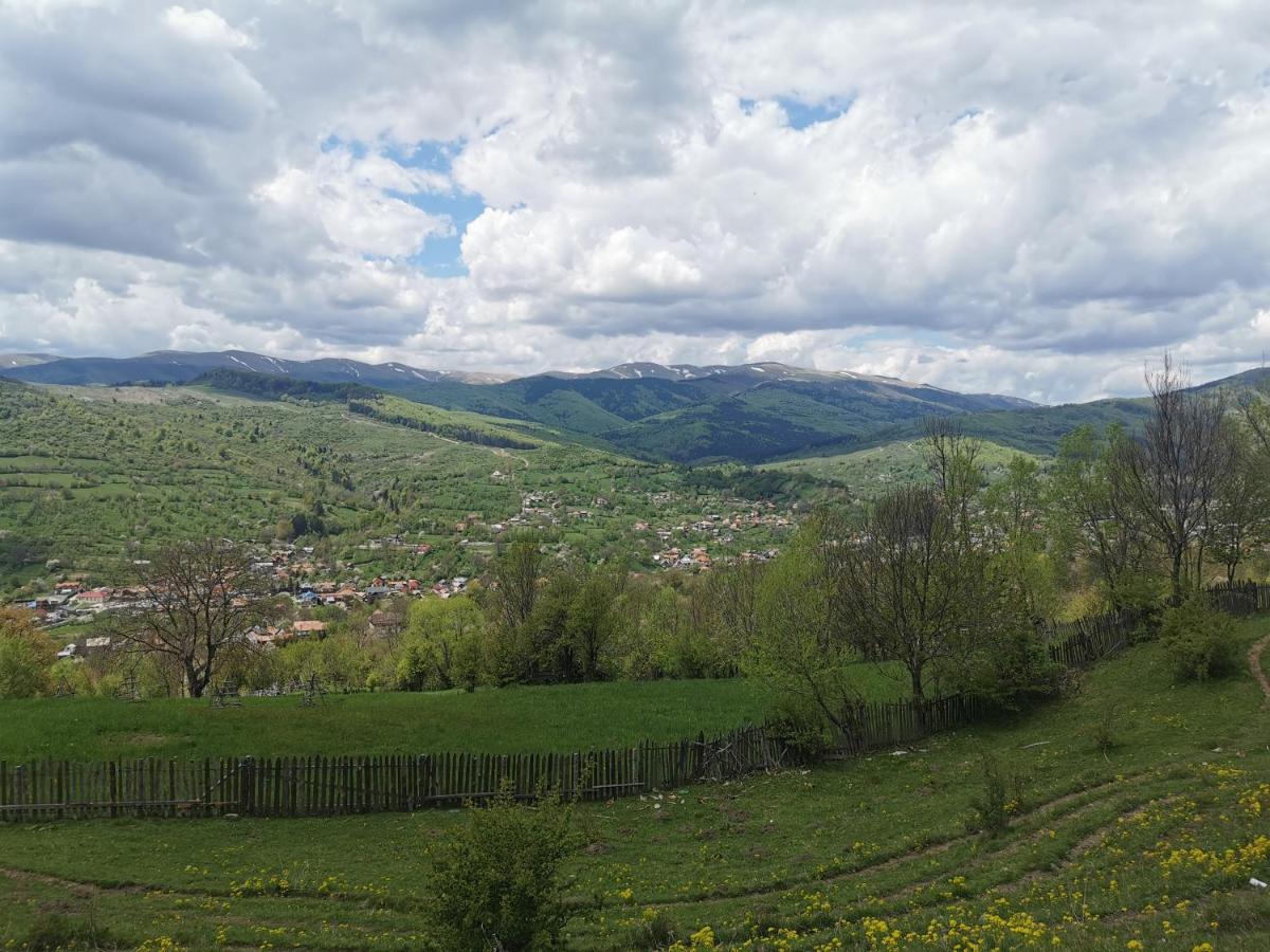 Doftana Apartaments Teşila Exterior foto
