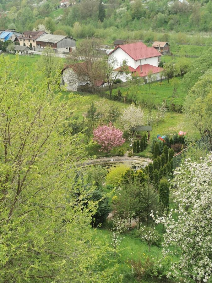 Doftana Apartaments Teşila Exterior foto