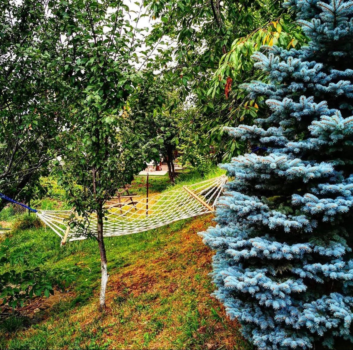 Doftana Apartaments Teşila Exterior foto