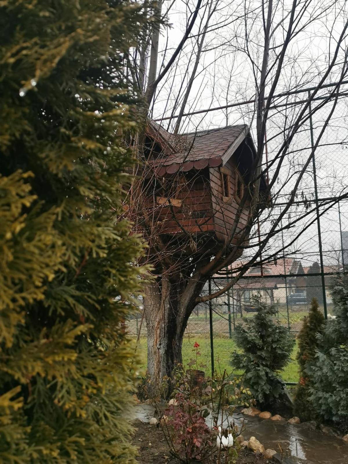 Doftana Apartaments Teşila Quarto foto