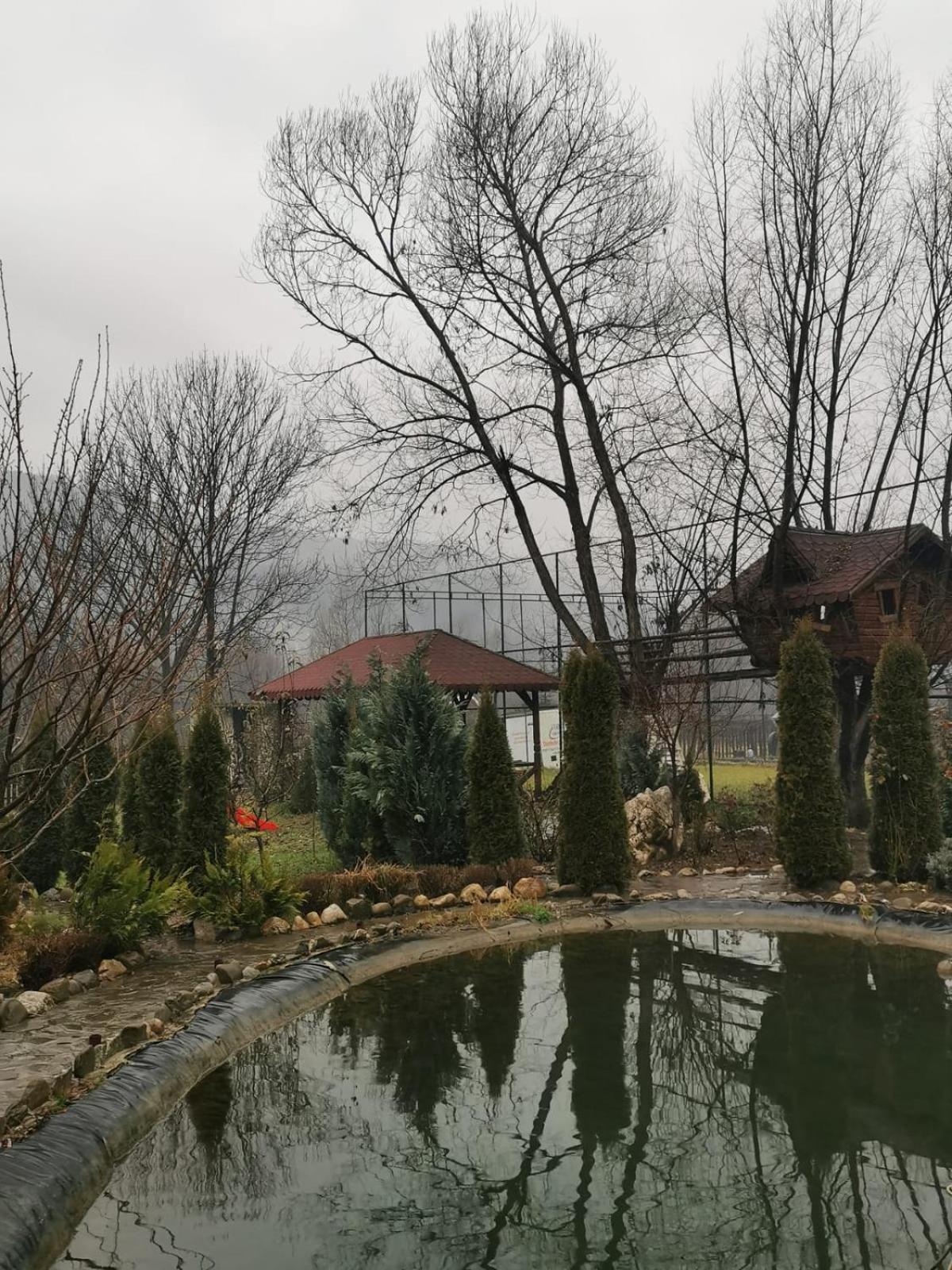Doftana Apartaments Teşila Quarto foto